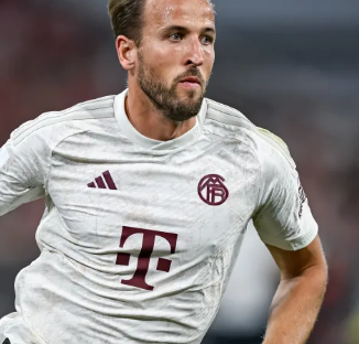 度与耐力上 度与耐力上